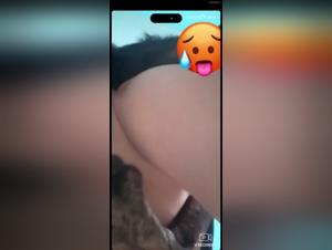 folie chien pute