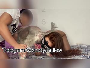 The dog participates in a couple's sex act