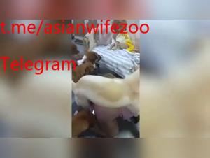 hundeseX mit chinesischer frau