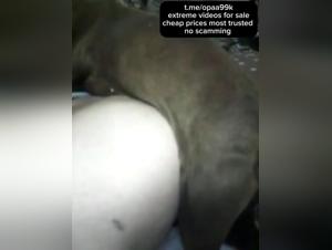 Bestiality: a woman and a dog in a shocking video