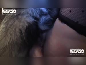Adilia - Live Dildo & Dog Fuck Action