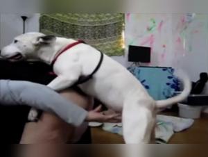 Forbidden Love: Man and His Canine Companion