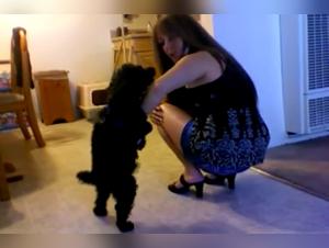 Mature Woman and Dog: A Bestial Encounter - Bestiality Sex Video