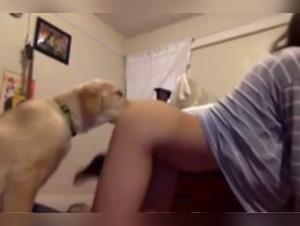 adolescente racole son dos nu contre un chien