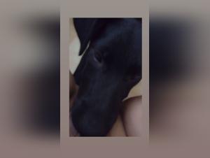 Unveiling Taboo Desires: Zoo School & Fetishism