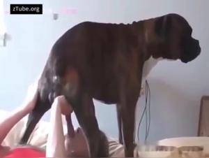 Alison Nouveau Style : sexe avec chien