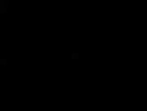 Athena and her adventure with a dog