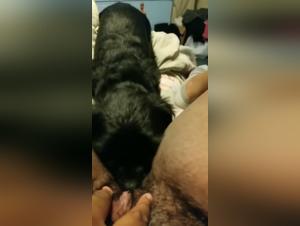 Forbidden Passion: Man and Dog