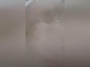 Intimate Video: Man and Dog - Extreme Bestiality