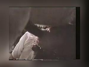 vintage donkey sucking: extreme bestiality