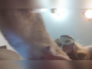 A beastly encounter with a Ukrainian friend and a dog