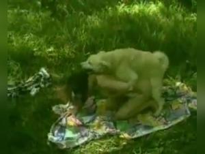 A Wild Encounter in the Forest