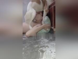 Hard bestiality: a woman and a dog in an extreme sex video