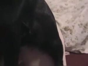 Vovo Gourmande and her female dog in a Bestiality Sex Video