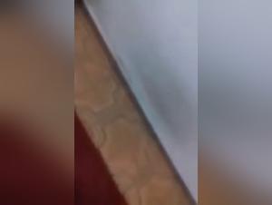 Forbidden Video - Zoophile Incest