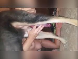 Beautiful teenage girl and dog in beastly video