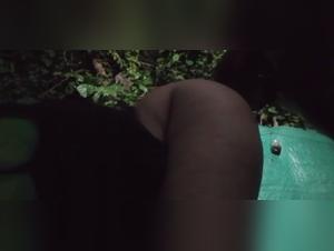  Chien défonce pendant la nuit