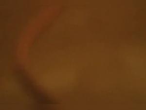 Housewife and her dog in bestiality video