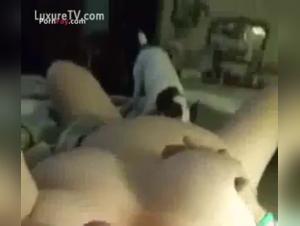 Woman and dog: a bestiality sex video