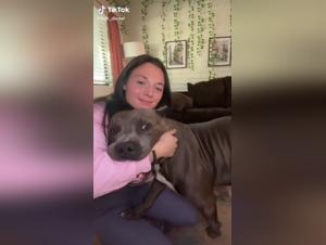 Extreme Bestiality: Zoophilia Video with a Dog