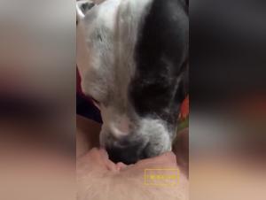 Baise Canine: Filles Déchaînées