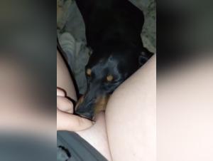 Amateur Dog 31: A Peek into the Extreme World of Bestiality