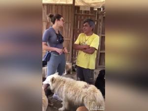 Forbidden meeting: woman and dog