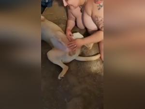 A beastly encounter: A woman and her four-legged friend