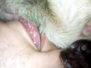 Prostituta Golpea Perro: Vídeos XXX Extremas