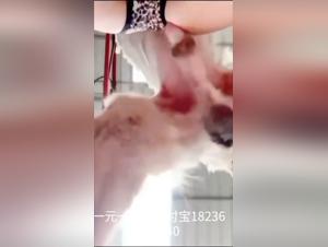 Into the Forbidden: Unveiling Zoophilia's Depths