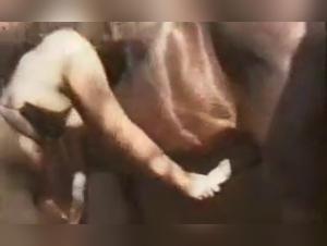 Horse Fuck: Slut Gored by Two Stallions