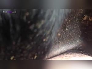baise sauvage : la bête et l'homme s'abandonnent