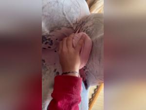 Girls and horses: a forbidden encounter