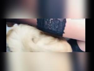 Zoophilia video: a woman and a dog in a bestial encounter