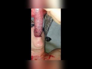 Le Tabou Animal: Mom Aspiree dans le Monde du Dog Porn