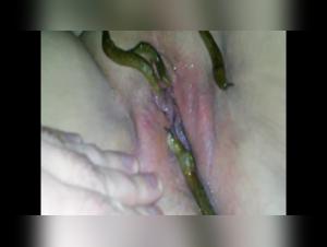 Bestiality: a woman and a dog in a shocking video