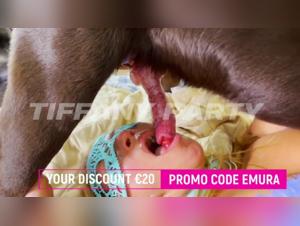 Sex with a Dog: Veronica Silesto's new film