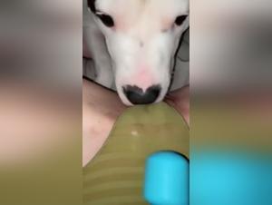 Slut Dog Fucks - Hardcore Fetish Play