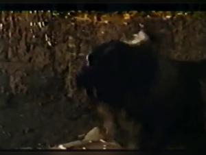 Mature Submissive to the Extreme with a Dog