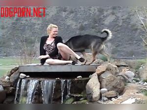 Una zorra se acuesta con su perro en la naturaleza