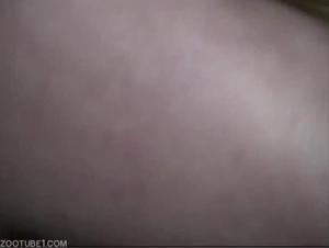 The slut receives cum all over from her dog