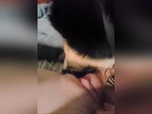 A bestial and intense relationship with a dog