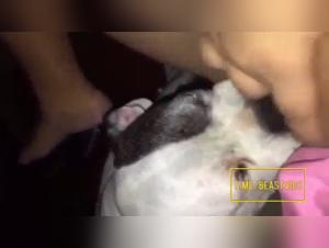 Salope suce chien léchage intense