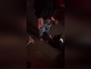 Beastporn: Mon Chien Me Prend Le Cul - Raw Footage
