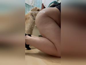 Dog Mom Sex in Zoophilia