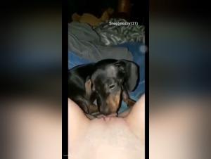 deconstructing bestiality's concept