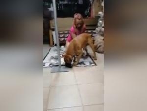 Bestiality: Woman and her dog