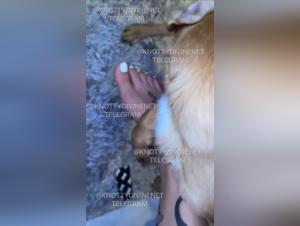 Forbidden Cartoons: Zooville's Allure