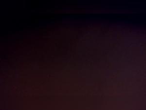 Submissive woman fucks with dog in shocking bestiality video