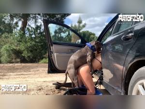 Freaks PMV: Hund Befreit eine Frau